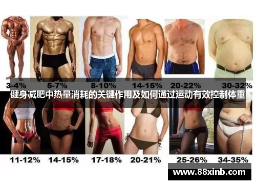 健身减肥中热量消耗的关键作用及如何通过运动有效控制体重