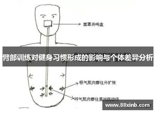 臂部训练对健身习惯形成的影响与个体差异分析